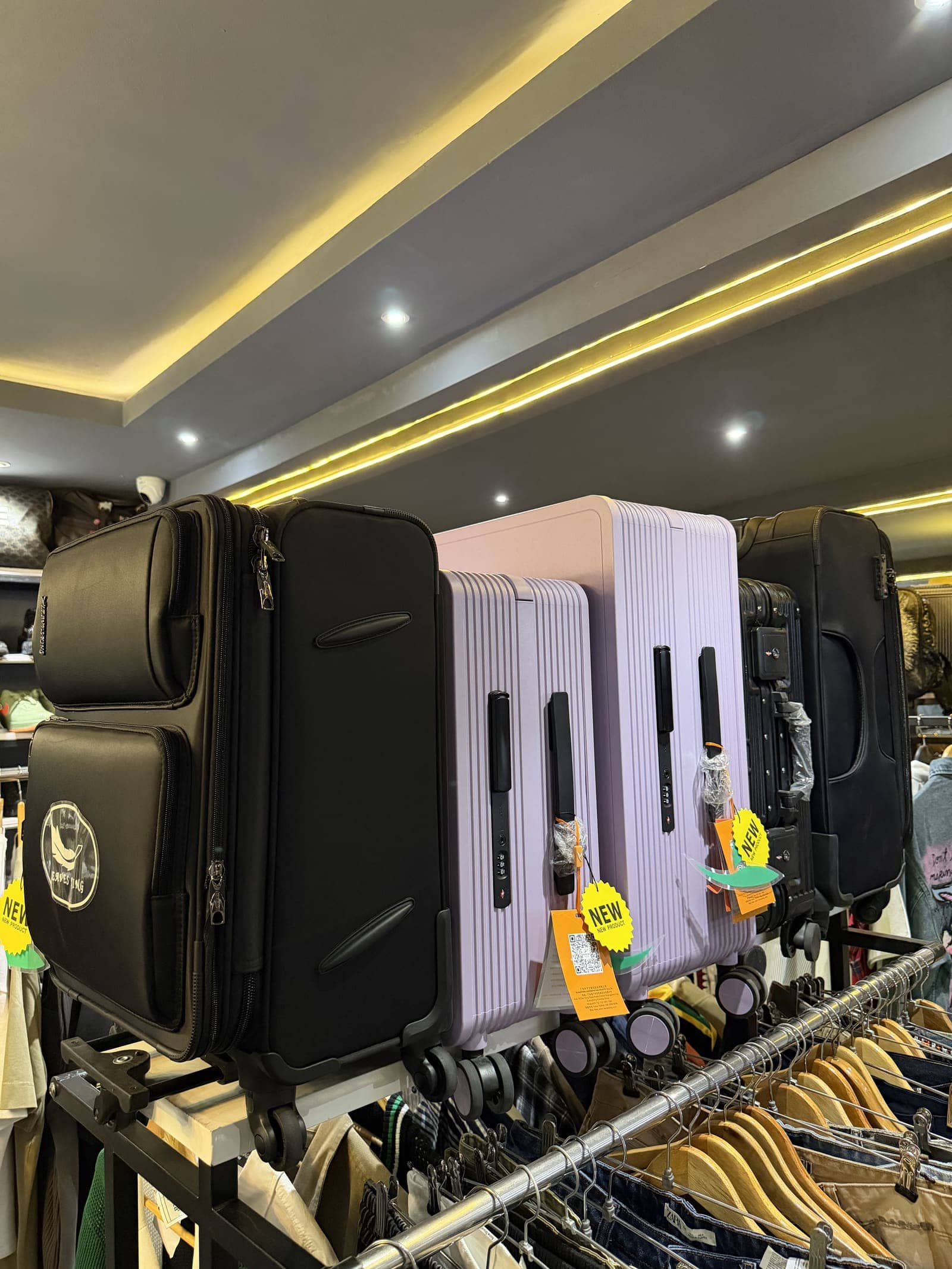 Designer Luggage